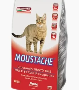 MONGE CAT SECCO MOUSTACHE KG 20