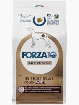 FORZA 10 DOG LINEA VETERINARY INTESTINAL COLON FASE 1 KG 4