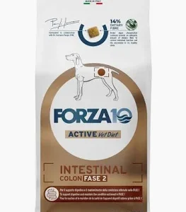 FORZA 10 DOG LINEA VETERINARY INTESTINAL COLON FASE 2 KG 10
