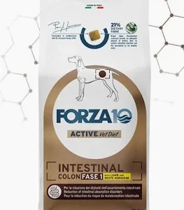 FORZA 10 DOG LINEA VETERINARY INTESTINAL COLON FASE 1 AGNELLO KG 10